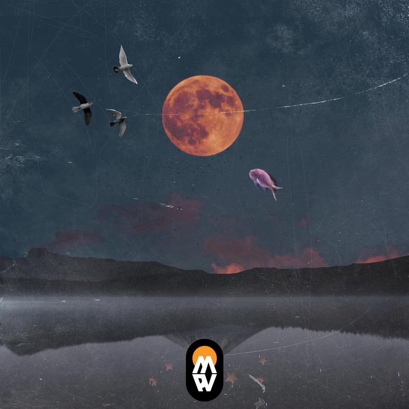 godzhiller & Pete Carvalho ~ serendipity's embrace EP // pvmm